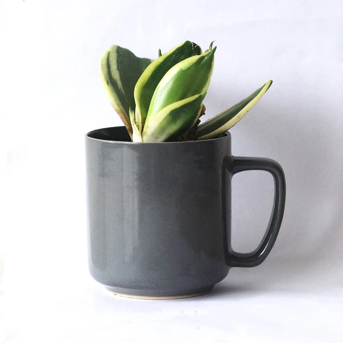 Pashan Recycled Ceramic Desk Planter with holder