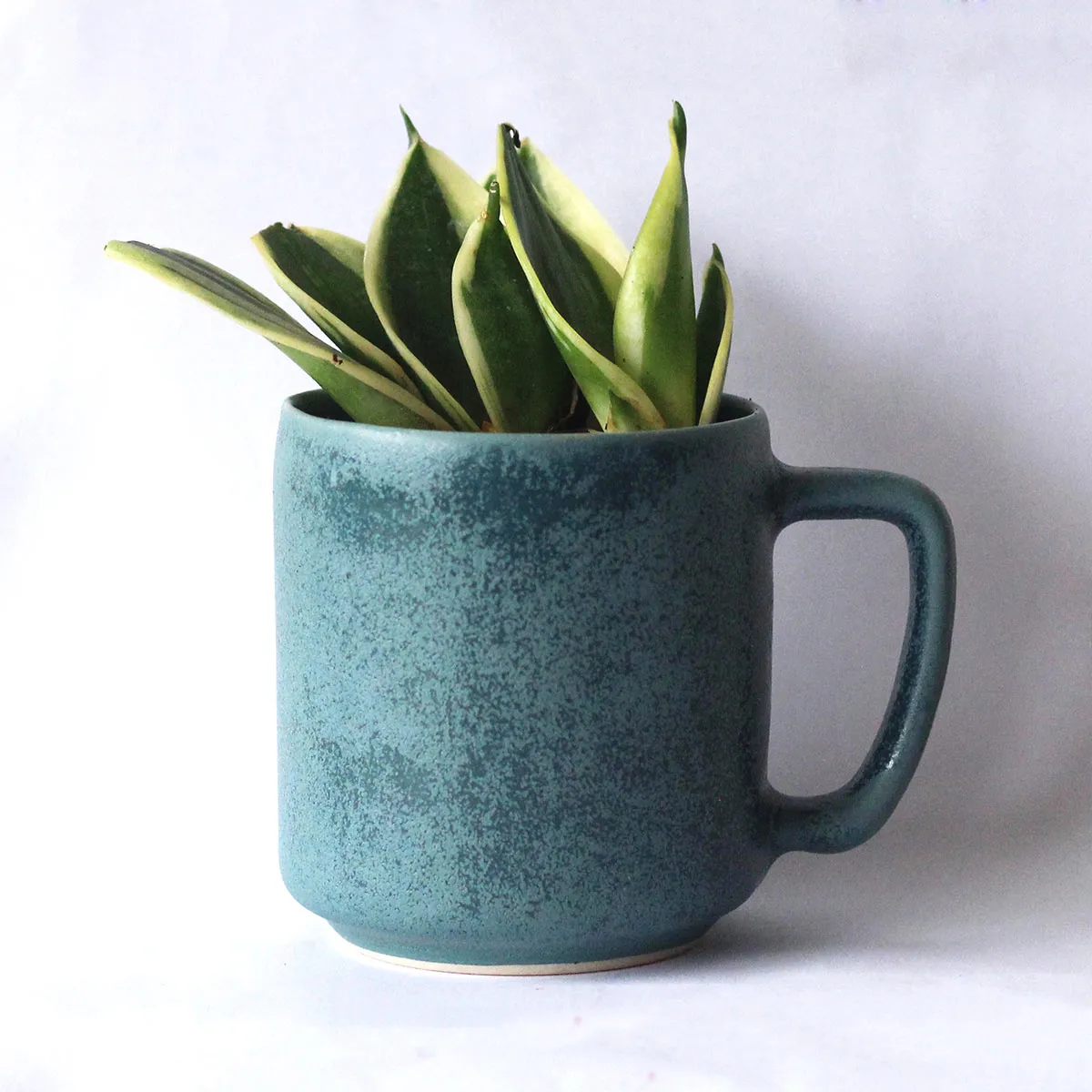 Rustic Vana Limited Edition Recycled Ceramic Desk Planter with holder